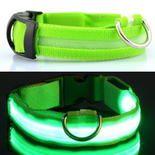 Anything Pets LED Rechargeable Dog Collar