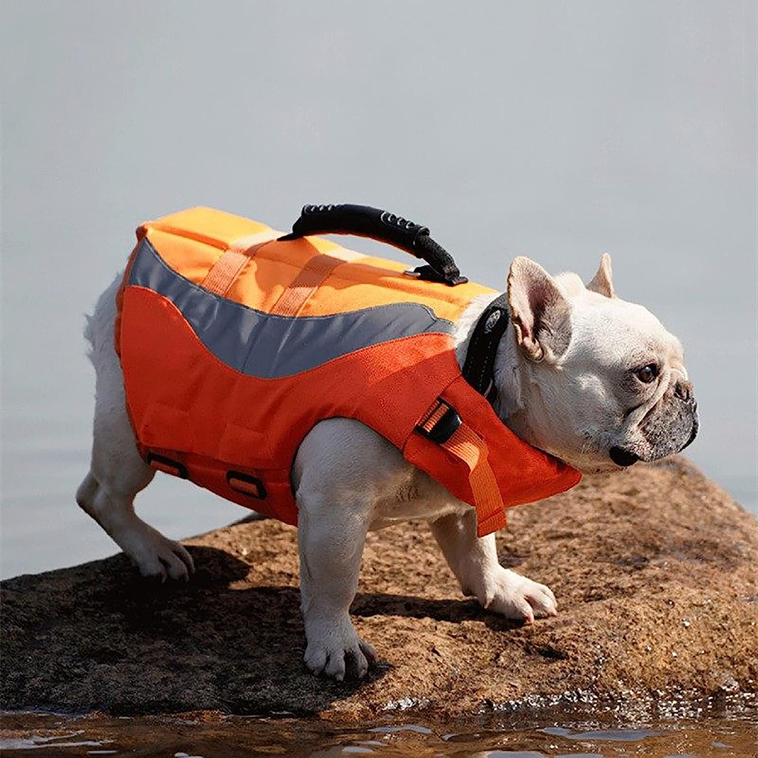 Reflective Life Jacket for Dogs - Petmagicworld