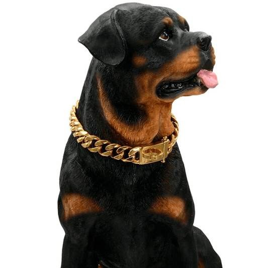 Stainless Steel Metal Dog Collars Chain | Petmagicworld