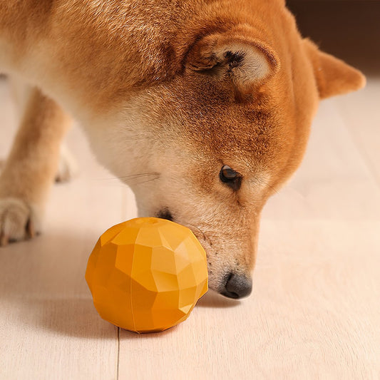 Fruit Shaped Treat Dog Toy - Petmagicworld