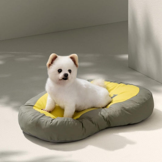 Pet Extra Thick Sleeping Mat Clock Dog & Cat Bed - Petmagicworld