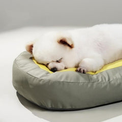 Pet Extra Thick Sleeping Mat Clock Dog & Cat Bed - Petmagicworld