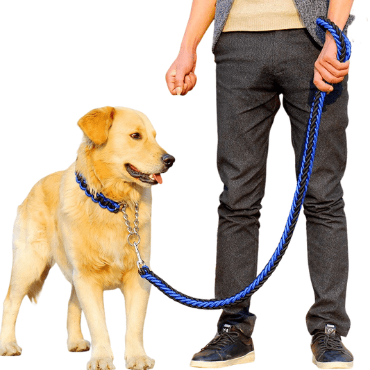 Dog Leash For Dog Collar - Petmagicworld
