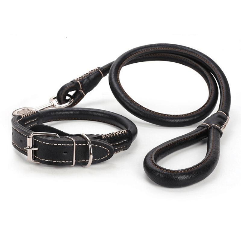 Leather Dog Collar And Leash Set - Petmagicworld