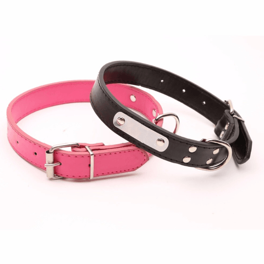 Pet Dog Leather Collar - Petmagicworld