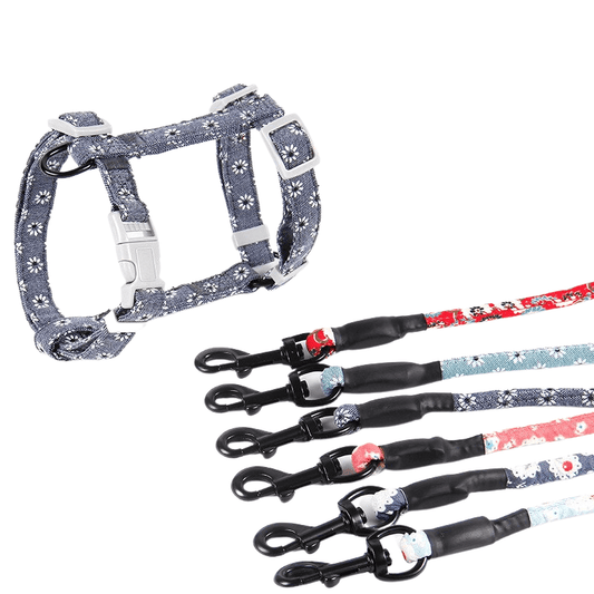 Traction Rope Harness And Leash Set - Petmagicworld