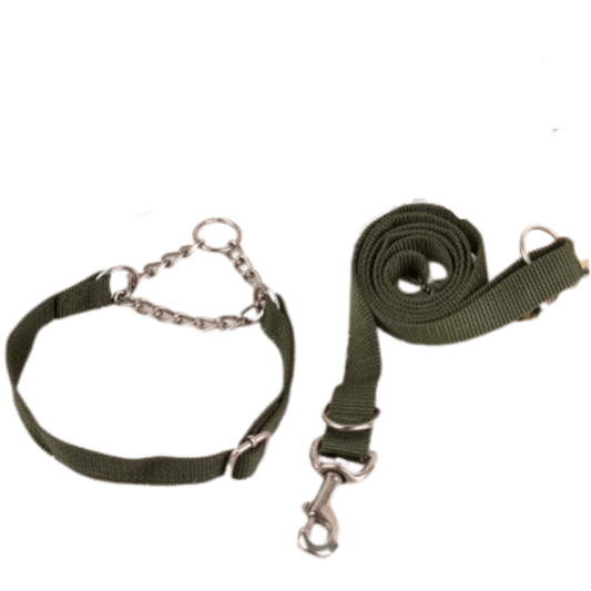 Pet Dog Collar Leash Set - Petmagicworld
