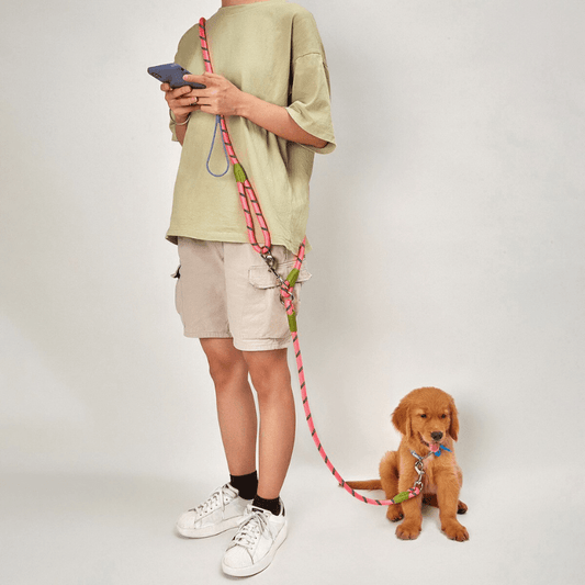 Reflective Cute Dog Leash - Petmagicworld