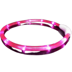 Dog Collar LED Light - Petmagicworld