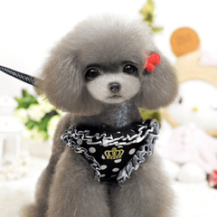 Small Pet Dog Collar - Petmagicworld