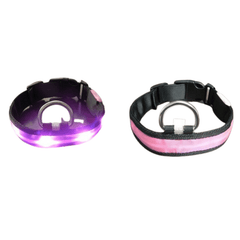 Night Safety Pet Dog Collar LED Light - Petmagicworld