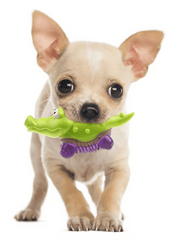 Pup-Roar™ Pet Chewables - Petmagicworld