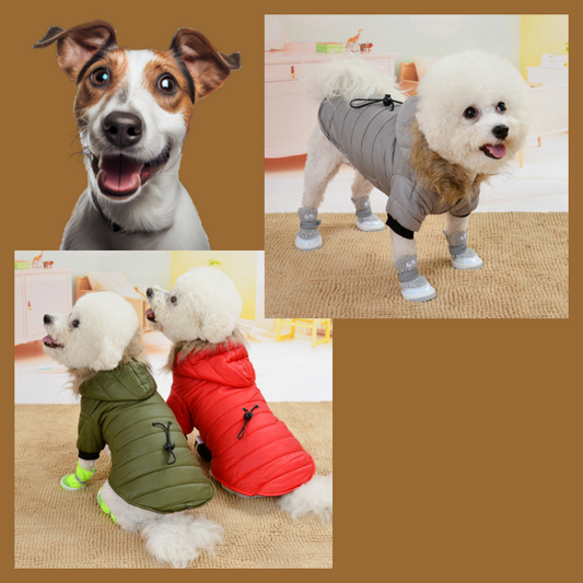 PawShield™ Insulated Dog Jacket - Petmagicworld