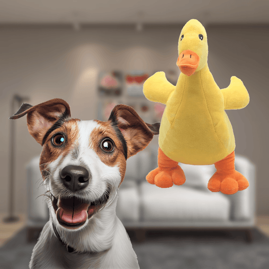 QuackPup™ Plush Melody Pet Toy - Petmagicworld