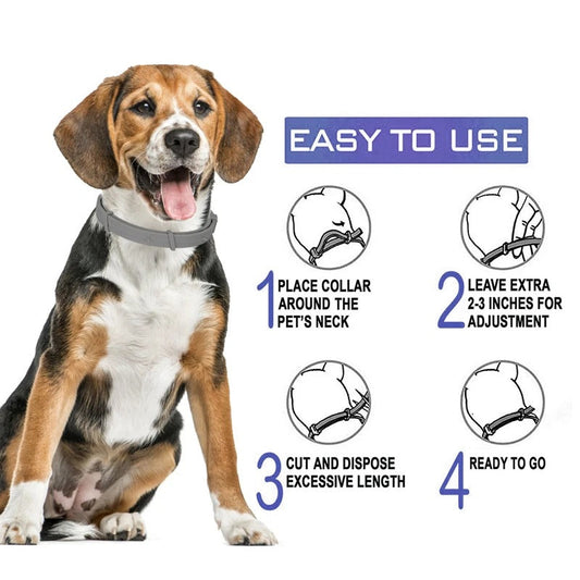 Eco-Friendly Dog Flea And Tick Collar: 8-Month Natural Protection
