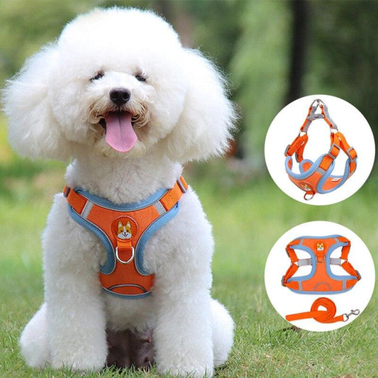 Reliable Dog Harness And Leash Set - Petmagicworld