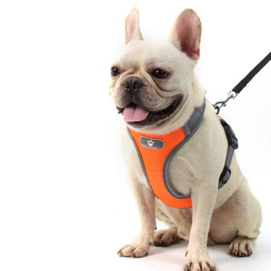 Lead Straps Breathable Dog Harnesses - Petmagicworld