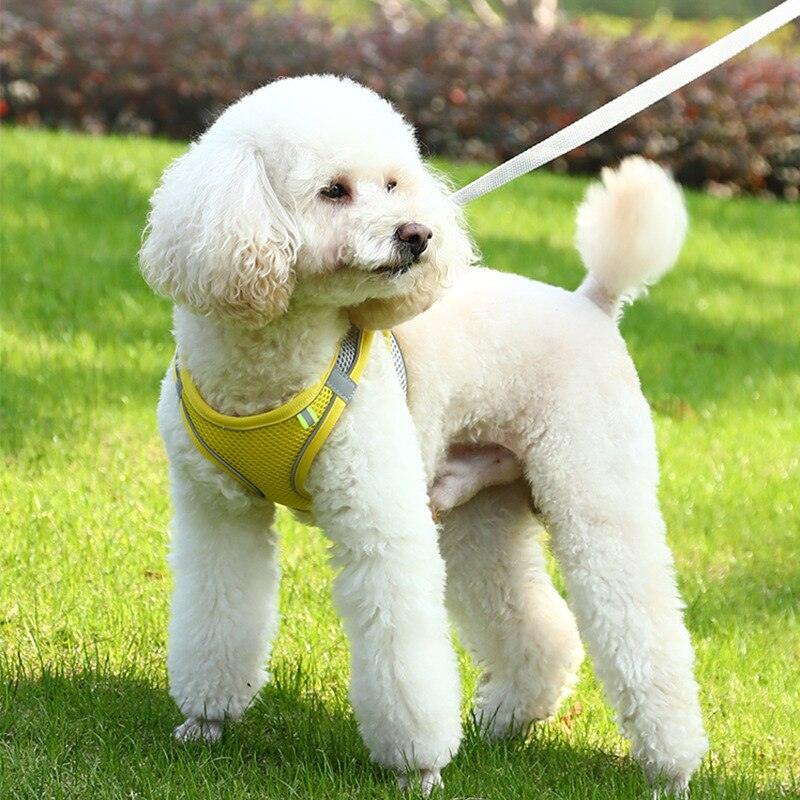 Dog Harness Vest With Leash For Small Dogs - Petmagicworld