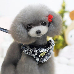 Small Pet Dog Collar - Petmagicworld