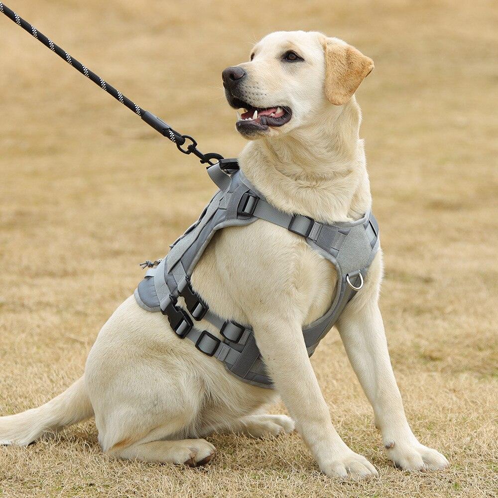 Vest For Dog Training - Petmagicworld