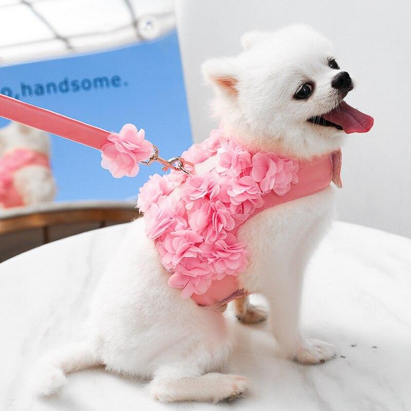 Floral Dog Harness And Leash Set - Petmagicworld