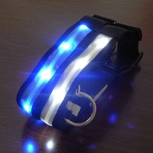 Night Safety Pet Dog Collar LED Light - Petmagicworld